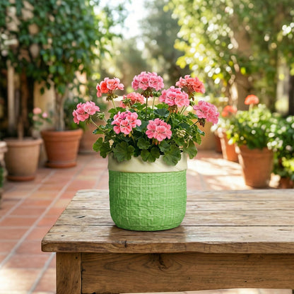 Teagas Ceramic Plant Pots - 6 Inch Plant Pot with Drainage Hole, Boho Planters for Indoor Succulent Plants, Decorative Round Unique Flower Pots, Garden Home Office Decor, Housewarming Gifts, Green