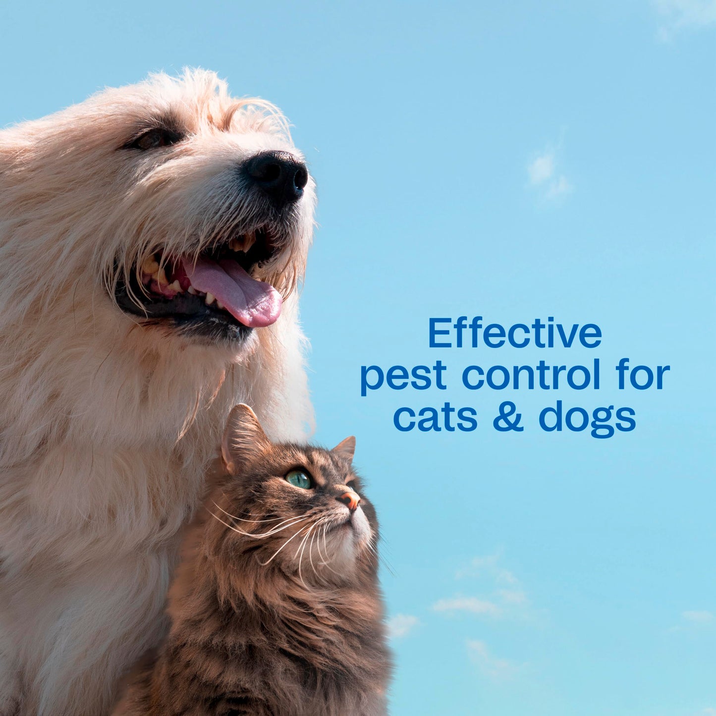 ADAMS Plus Flea & Tick Shampoo with Precor IGR for Cats, Kittens, Dogs & Puppies Over 12 Weeks Of Age, Sensitive Skin Flea Treatment, Kills Adult Fleas, Flea Eggs, Ticks, and Lice, 6 Ounces
