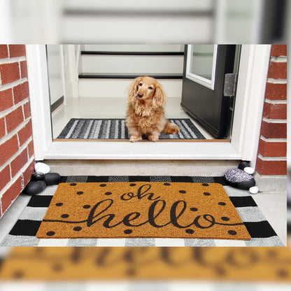 Gaybot 2 Pcs Front Door Mat Buffalo Outdoor Rug Oh Hello Doormat Decor Coir Mat Nonslip Porch Checkered Layered Front Door Rug Rustic Farmhouse Mats Entryway(Black Dot,23.6 x 35.4 Inch)