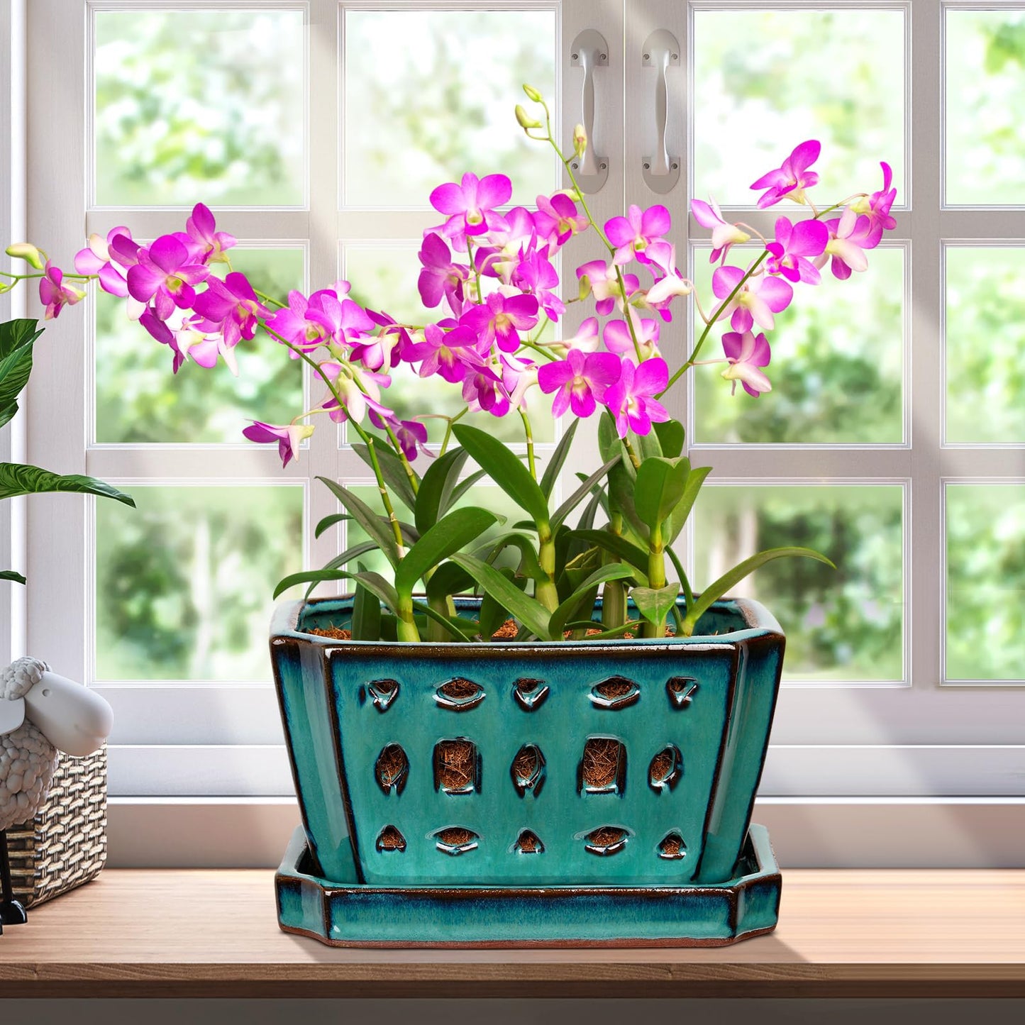Teenyyou 1 Set Orchid Pot with Holes 7 Inch Ceramic Orchid Pot with Saucers for Repotting Amaryllis Flower Planter Include Gardening Shovel Set and Gloves for Home Decor(Green)