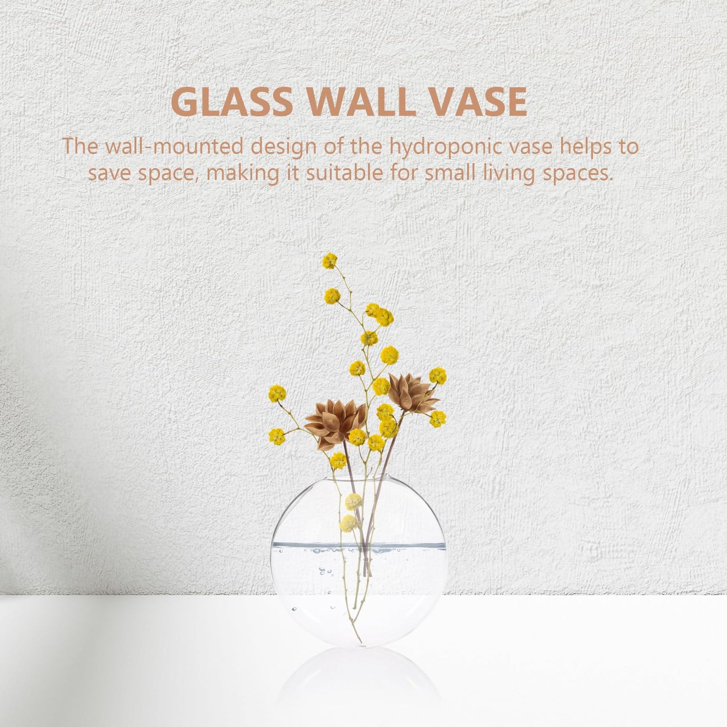 DECHOUS 2pcs Wall Hanging Glass Terrarium Vases Hydroponic Planter Indoor Decor for Succulent Plants