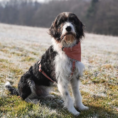 Pettsie Hemp Dog Bandana Collar & Matching Owner Friendship Bracelet | Adjustable, Durable Hemp & Soft Cotton, Matching Friendship Bracelet, Designed for Dog Lovers