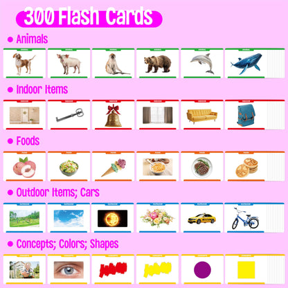 300 Noun Picture-Word Cards, Picture Flashcards Language Builder Visual Aid Speech Development Tool for Autism, ESL Teaching Materials for Adults, Non-Verbal Children Vocabulary Builder for Toddlers