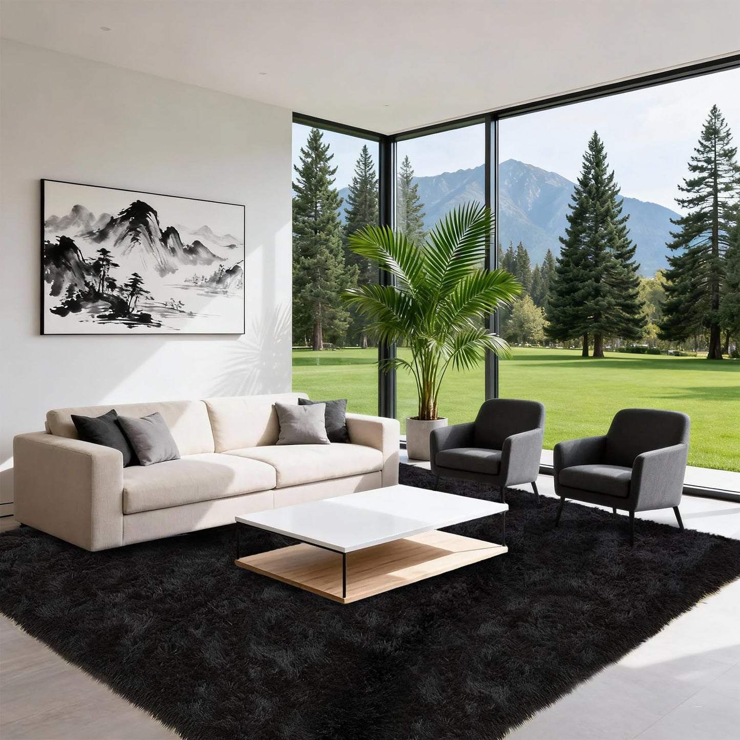 Black Shaggy Area Rug for Living Room Bedroom, Ultra Soft Fluffy Fuzzy Furry Rugs 4x6 ft, Upgrade Non-Slip Plush Shag Bedside Rug, Indoor Floor Carpet for Kids Girls Boys, Dorms, Nursery, Home Decor
