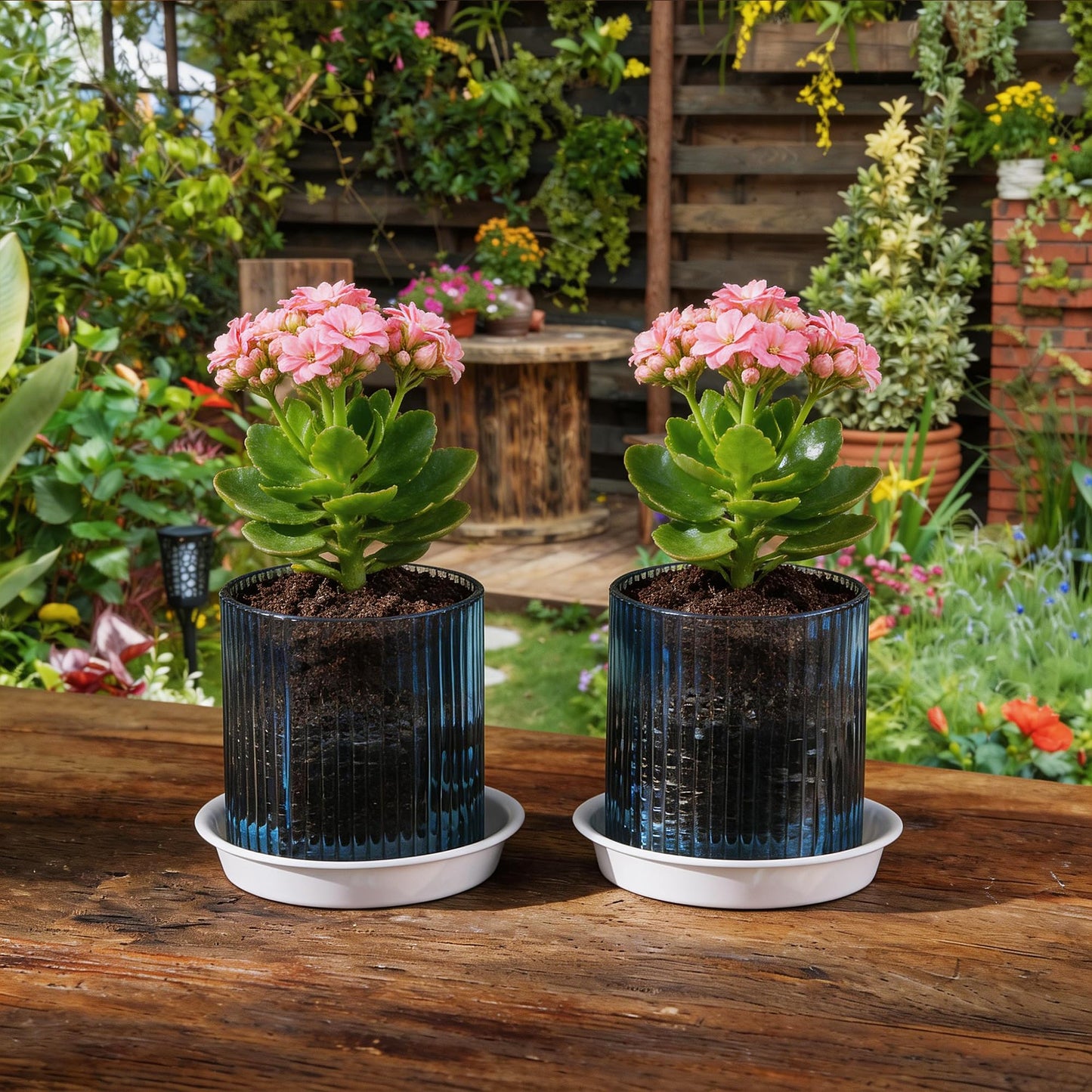 Hestremo Blue Glass Plant Pots Indoor, 5 inch Clear Orchid Pots with Drainage Holes & Trays, Small Glass Planter for Indoor Plants, Herbs, Succulent Flower Planter with Ribbed Texture, Set of 2