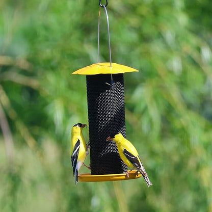 Songbird Essentials Gold Finch Feeder for Outdoor Hanging - Petite Nyjer Thistle Seed Feeder - All Metal - for Finches and Buntings for Outdoor Garden - Bright Yellow