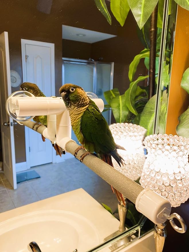 Polly's Portable Window-Shower Perch with Suction Cups for Cockatiels, Macaws, African Greys (Deluxe, Small)