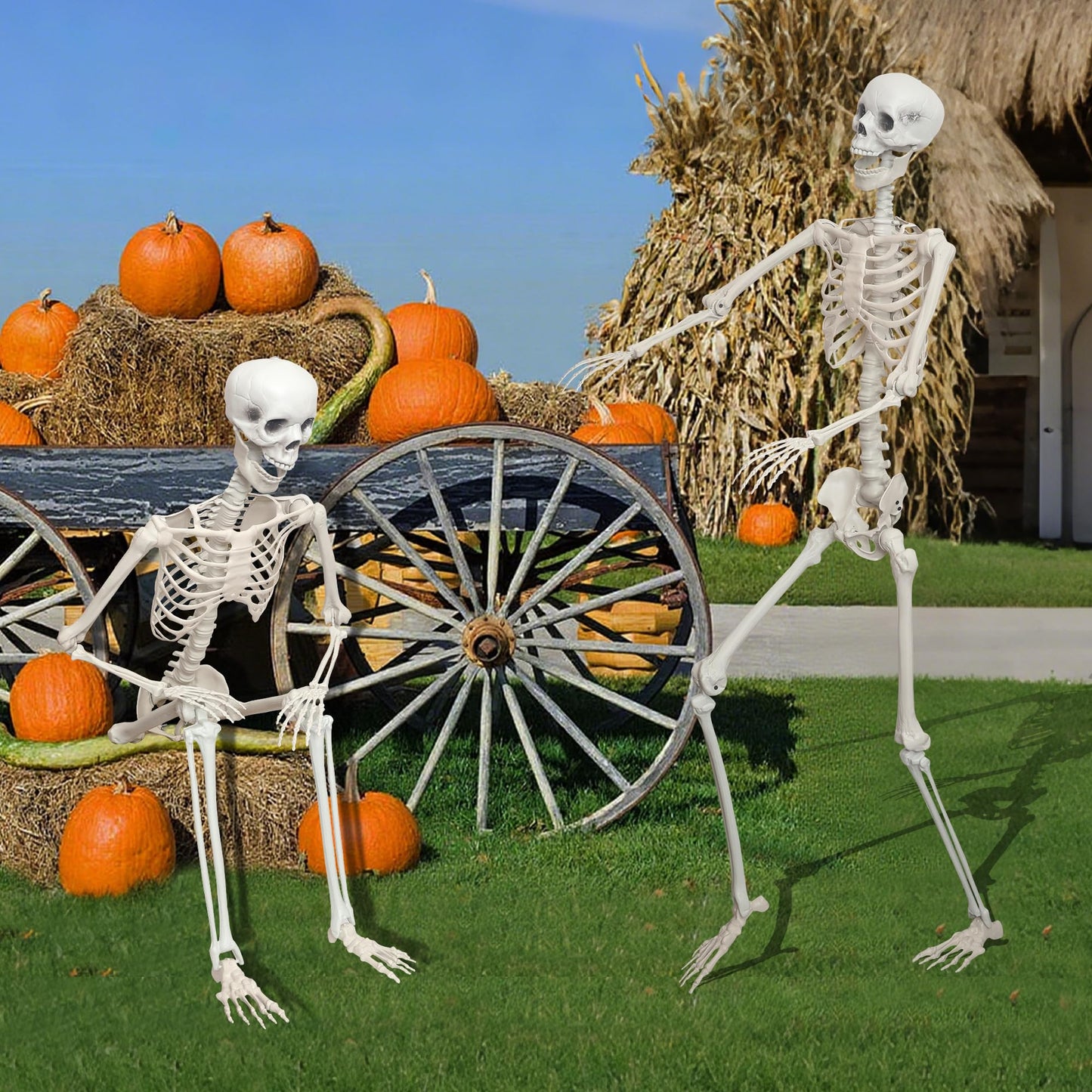 LOSFOTBO 5.9Ft/180cm Giant Skeleton Poseable Skeleton Realistic Full Body Bones for Halloween Decorations