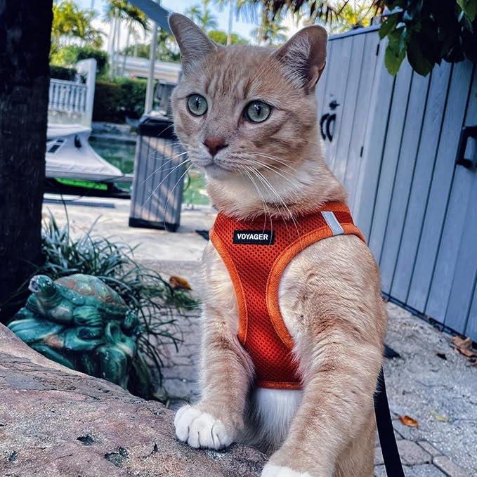Best Pet Supplies Voyager Step-in Air All Weather Mesh Harness and Reflective Dog 5ft Leash Combo with Neoprene Handle, for Small, Medium and Large Breed Puppies - Orange, Small