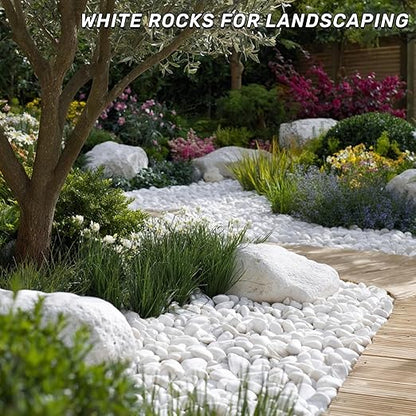 NUPICK 45lb White River Rocks for Outdoor Landscaping, 1-2 Inch Pebbles for Indoor Plants, Natural Polished Aquarium Gravel, Decorative Rocks for Succulent, Garden, Vases Fillers, Bird Baths