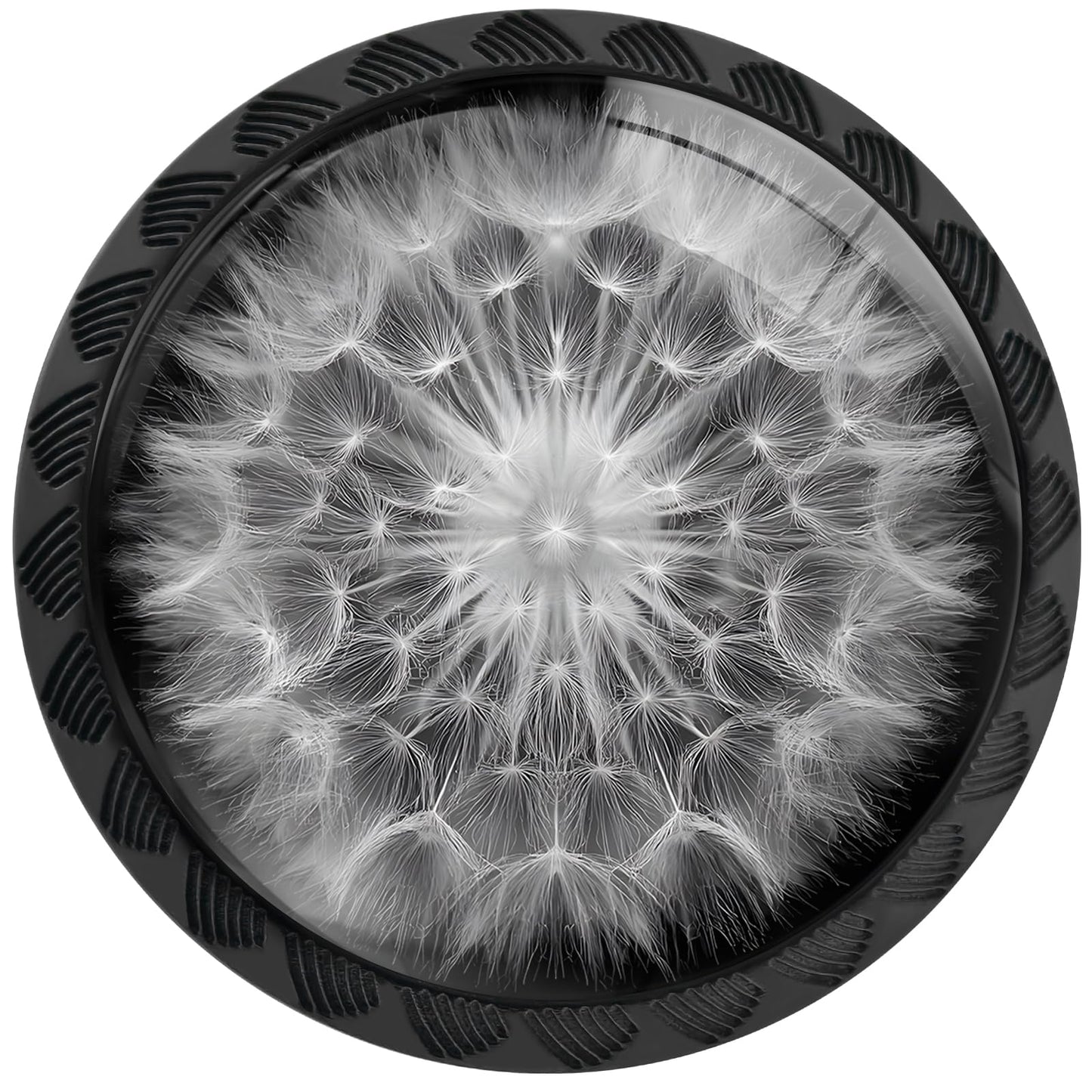 Artinhand 4 Pack White Dandelion Cabinet Knobs for Kitchen Bathroom