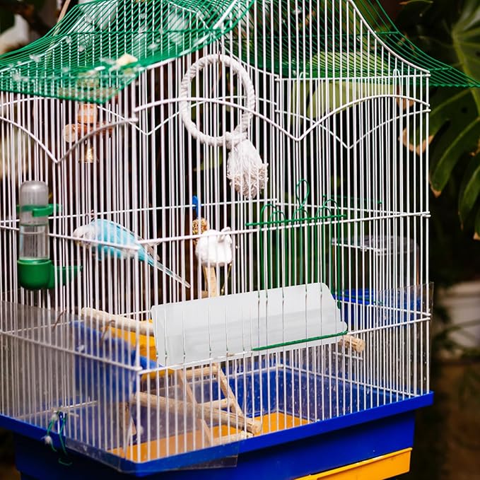 GANAZONO 2pcs Automatic Outdoor Bird Feeder Hanging Bird Seed Tray Anti-Splash Parrot Food Dispenser Suitable for Wild and Parakeets