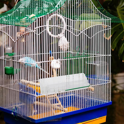 Toddmomy Automatic Bird Feeder Hanging Outdoor Bird Food Tray Anti-Splash Seed Dispenser 2pcs and Cockatiels