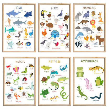 6 Pieces Laminated Educational Preschool Posters for Toddlers,Educational Wall Charts,School classroom Posters,Class decorations for Kindergarten- FISH,BIRDS，MAMMALS，INSECTS,REPTILES，AMPHIBIANS.(No