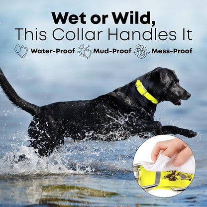 Regal Dog Products Large Yellow Waterproof Dog Collar and Leash Set | Heavy Duty Double Buckle & D Ring - 5'ft Leash | Adjustable Biothane Dog Collar | Chew Resistant Waterproof Collar for Dogs