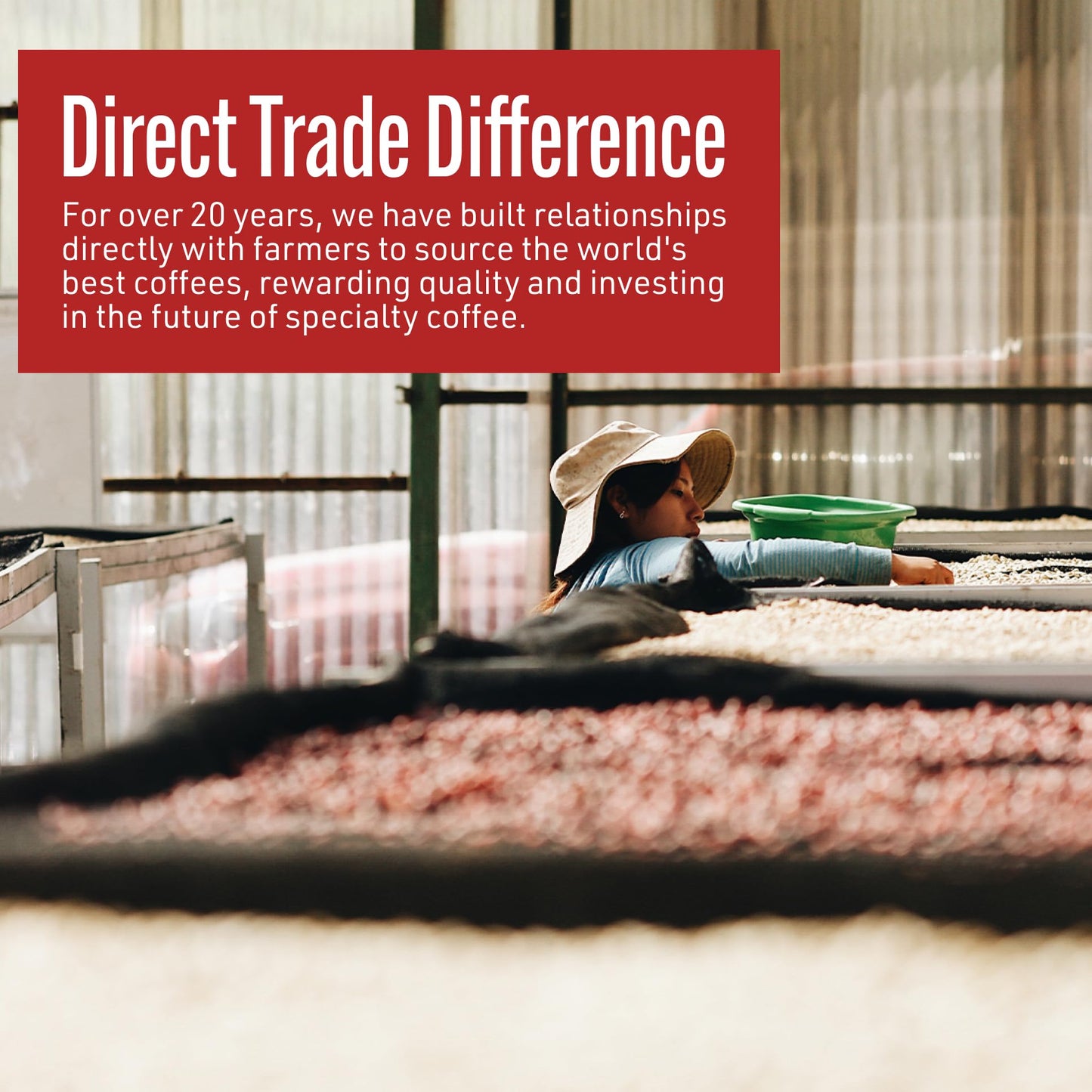 Intelligentsia Coffee, Light Roast Whole Bean Coffee - House Blend 12 Ounce Bag