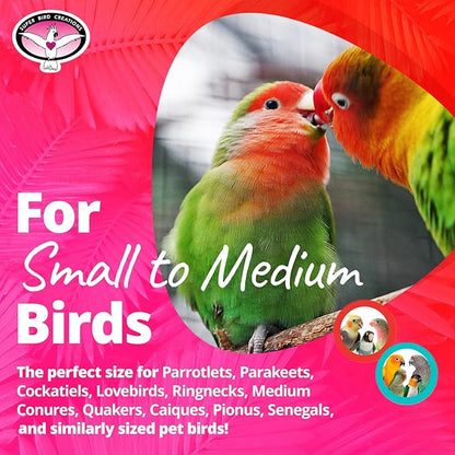 Super Bird Creations SB1217 Cardboard Treat Block - Interactive Chewing and Foraging Bird Toy for Medium Birds - Medium Conures, Parrots, Ringnecks - Encourages Exploration and Physical Exercise