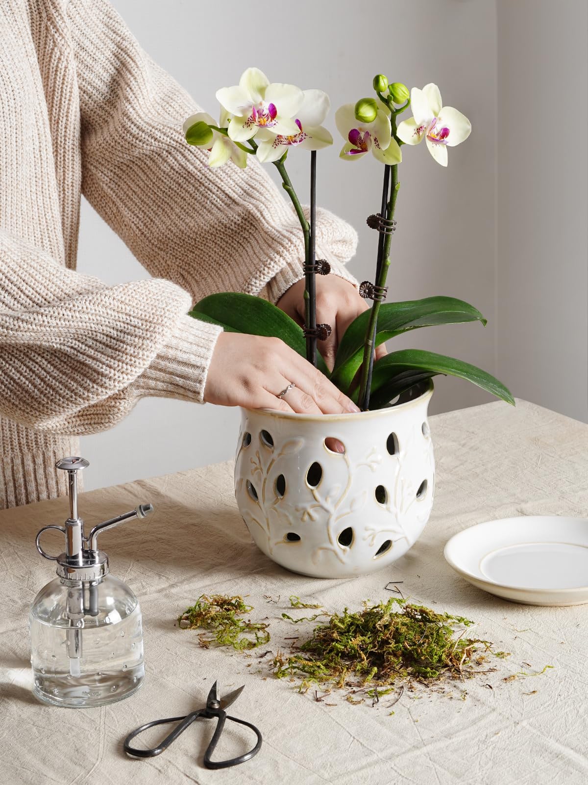 LE TAUCI Ceramic Orchid Pot, 6.5 Inch Orchid Planter with Holes for Repotting, Indoor Flower Plant Pot with Drainage and Saucer, Arctic White