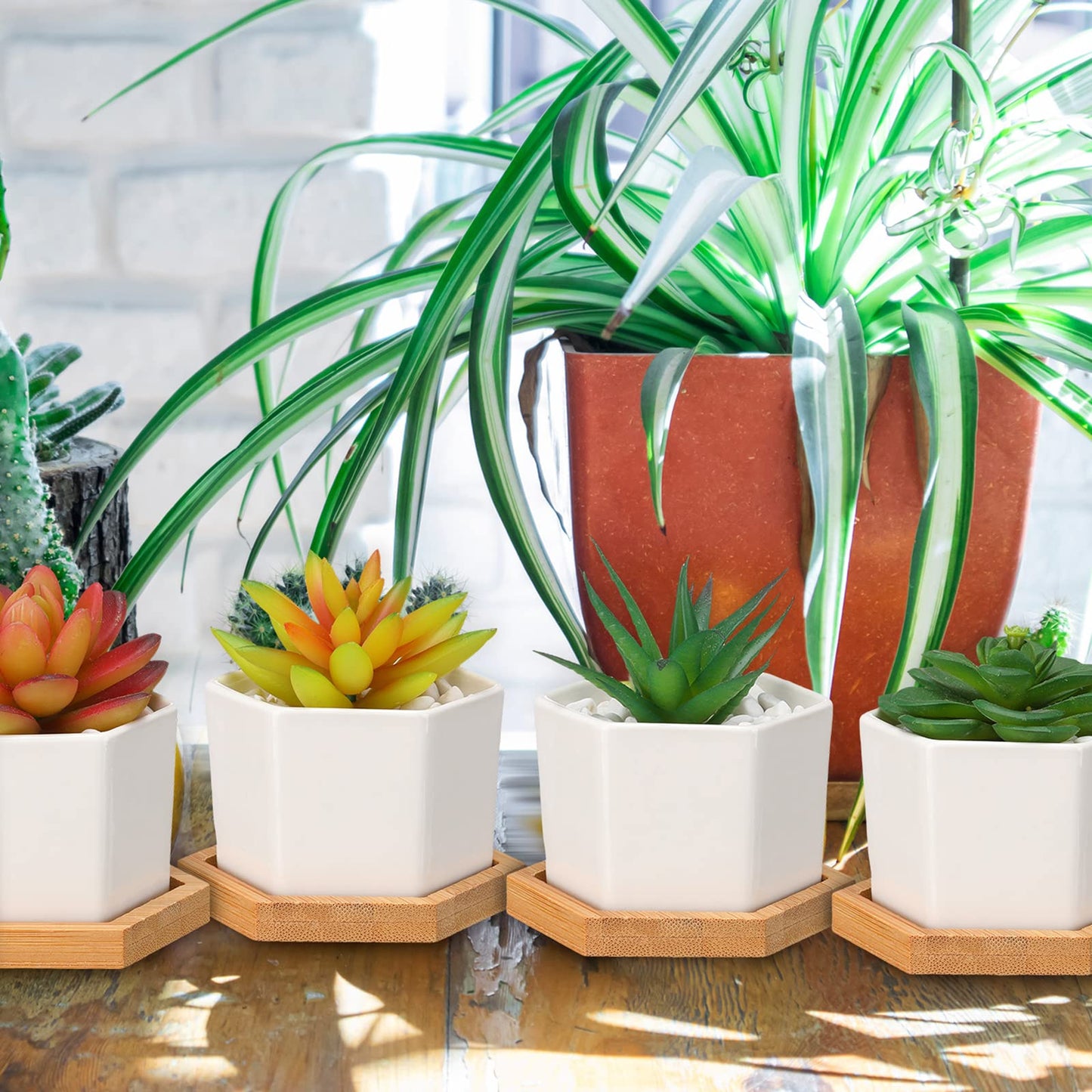 Gerrii Succulent Pots Mini White Ceramic Flower Planter Pot Succulent Planters with Wooden Trays and Drainage Holes for Plants Cactus Home Office Decoration, Plants Not Included(24 Pcs)