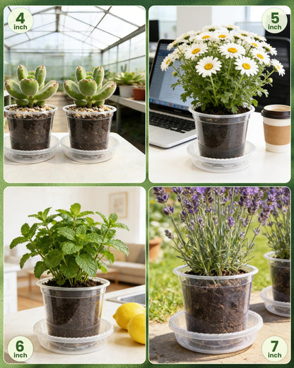 WandaQueen 24 Packs Clear Nursery Pots for Plants with Saucers, 7/6/5/4 Inch Plastic Flower Pots with Drainage Hole, Variety Pack Seedlings Plant Pot with 24 Plant Labels