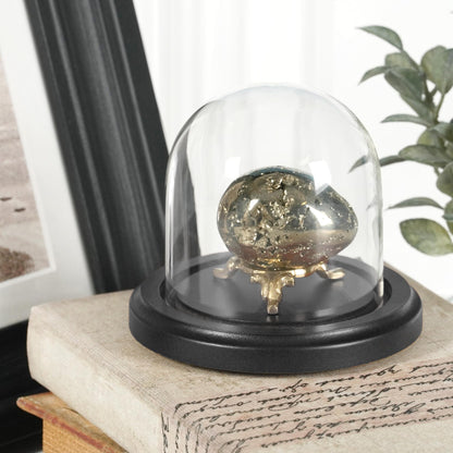 Plymor 3" x 3" Glass Display Dome Cloche (Black MDF Wood Base)
