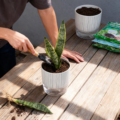 CWYEYE 3 Pack Self Watering Pots Set, 4 Inch Self Watering Pots for Indoor Plants, Planter Pot with Wick Rope and Reservoir for African Violet, Spider Plant, Orchid