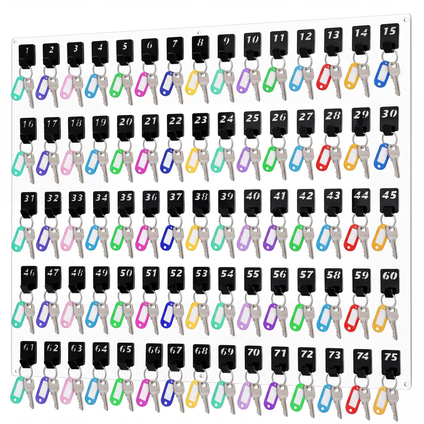 Beeveer Acrylic Key Board with 75 No. Hooks Wall Mount Key Rack Holder Hanger Storage Collection for School, Garage, Car Dealer, Office, Hotel, Real Estate(Transparent)