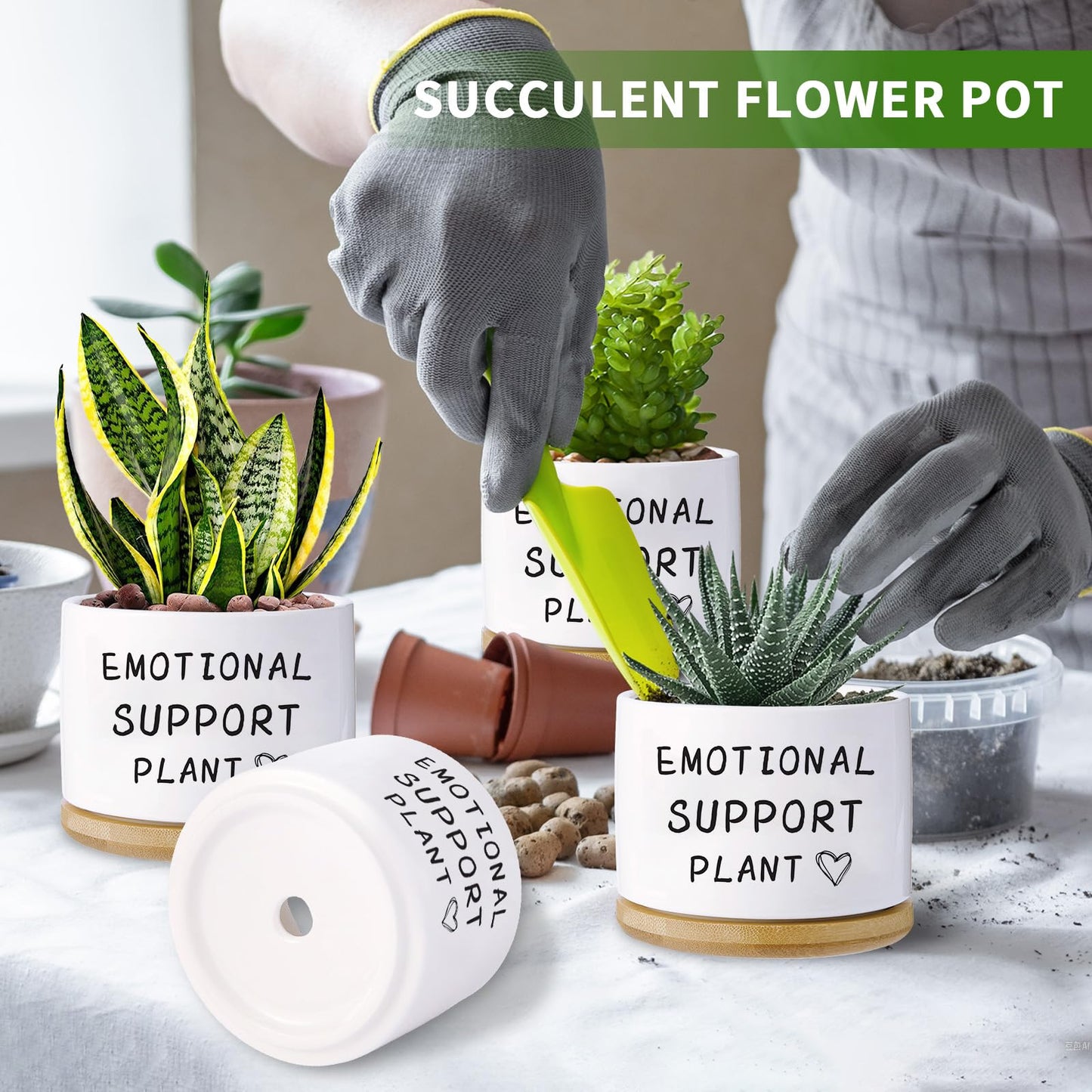 Haooxinwei Funny planters for Indoor Plants, for Planter Lover,Indoor Plants Garden Planters Succulent Pots, with Drainage Holes and Saucer(No Plants) (Emotional Support Plant)