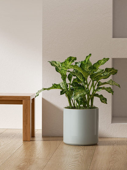 LE TAUCI 12 Inch Pot for Plants, Ceramic Planters for Indoor Plants, Mid-Century Modern Cylinder Flower Pots with Drainage Hole, Fits Fiddle Leaf Fig & Monstera, Home Decor, Mist Gray