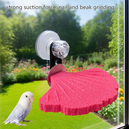 Bird Perch Stands Parrots Calciums Perch Beak Grinding Stone Foot Claws Trimmer Parakeet Platform Parrots Chewing Toy