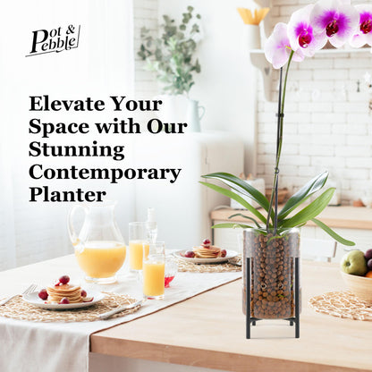 Pot & Pebble - C8 Glass Planter with Decorative Metal Base - Plant Propagation Station with Water Level Control - Plant Cutting Holder for LECA Clay Pebbles/Similar Media - Semi Hydroponic Planter