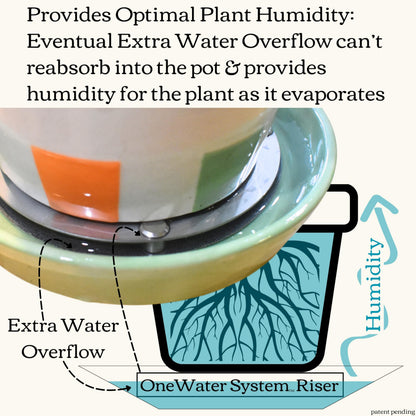 Ceramic Plant Pot and Saucer with OneWater System (5.25" Inches, Cylinder White)