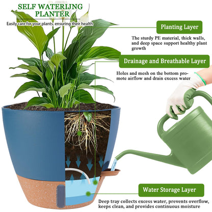 2 Pack 10 inch Plant Pots and 6 Inch Self Watering Pots for Indoor Plants (5-Pack), Plastic Planters with Water Window, Drainage Holes & Trays, Indoor Outdoor Flower Pots