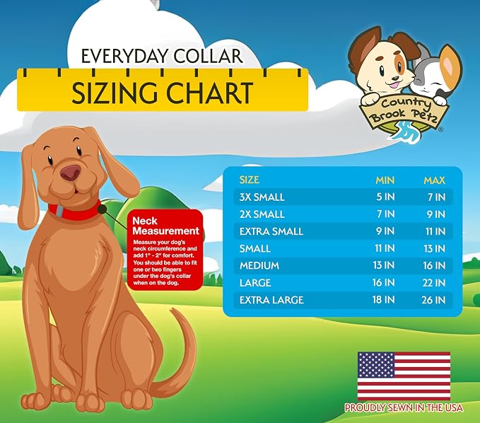 Country Brook Petz - Everyday Nylon Dog Collar and Leash - 10+ Cool Colors (1 Inch, Extra Large, Hot Lime Green)
