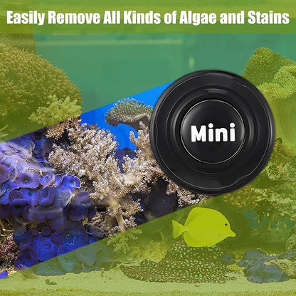Cunhill 2 Pieces Mini Aquarium Glass Cleaner Magnetic Algae Scraper 1.57 x 1.38 Inch No Scratch Fish Tank Glass Cleaner Magnetic Brush for Thick Fish Tank Glass Acrylic Aquarium(Black)