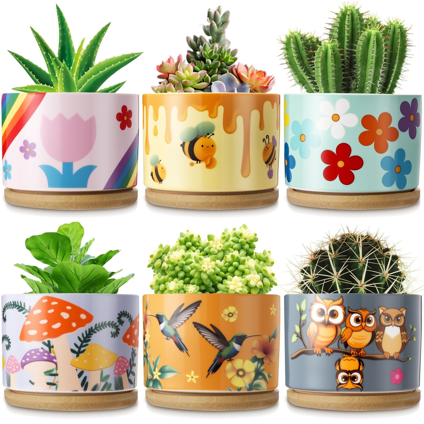 LOYIM 6 Pcs Ceramic Succulent Pots with Drainage and Bamboo Trays, Aesthetic Flower Planters for Spring Decor, Cute Decorative Succulent Pots for Mothers Day, Plant Lovers Gift, 3.7 Inch