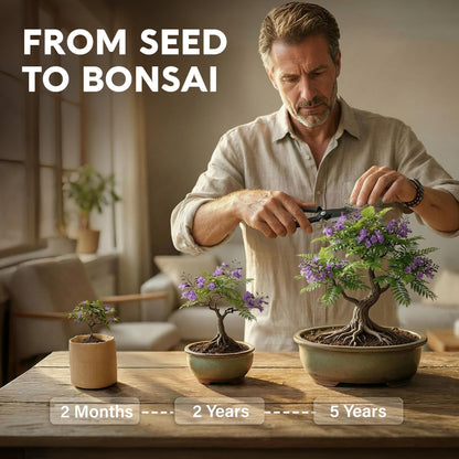 AVERGO Bonsai Tree Kit Classic - 5X Unique Japanese Bonzai Trees | Complete Indoor Bonsai Starter Kits for Growing Trees – DIY Gardening Gifts for Mother, Women & Men