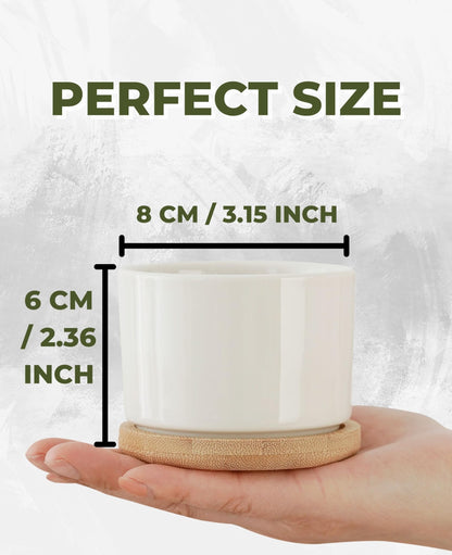 InnoBeta Gnome Gifts for Women Gardening Lovers, Succulent Plant Pots 3pcs, Gifts for Gnome Lovers, Gnomes Planter Pot with Bamboo Tray, Plants NOT Included, for Birthday, Christmas