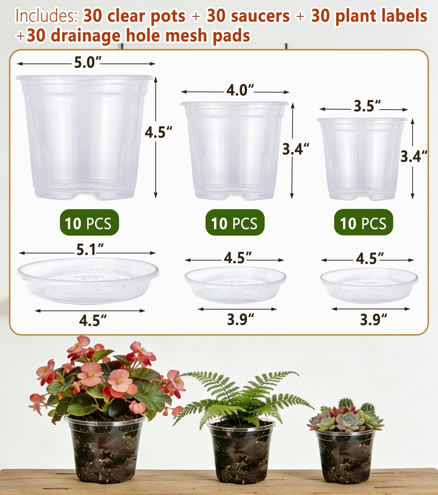 RZOIKZOI 30-Pack Clear Nursery Pots with Saucers (3.5/4/5 Inch) – Transparent Plastic Plant Pots with Drainage Holes and 30 Labels, Assorted Sizes for Seed Starting, Succulents, Indoor and Outdoor Use