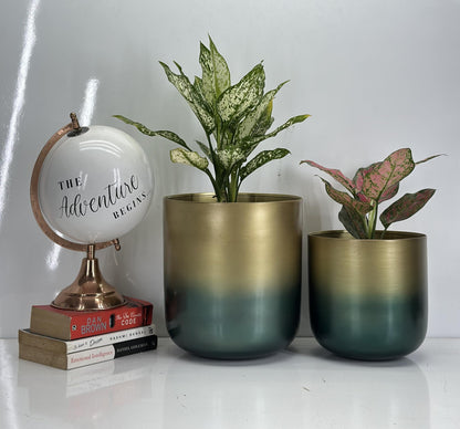 Set of 2 Luxury Brass Planters with Patina Finish – 10” & 8” Round Metal Indoor Plant Pots – Modern Decorative Flowerpots for Living Dining Room, Office, Balcony & Entryway – Stylish Home Décor Accent