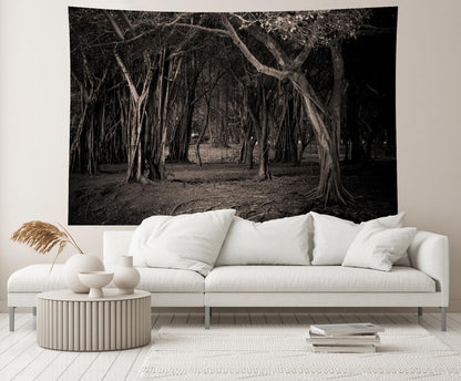 chnywork 9x6ft Misty Dark Forest Backdrop Halloween Woods Gloomy Grove Mystery Vampire Forest Background Magic Witch Wizard Sorcerer Ghost Halloween Festival Party Decors Portrait Photo Props