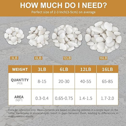 NUPICK 12lb White River Rocks for Plants Indoor, 2-3Inch White Pebbles for Vases Fillers, Decorative Gravel for Fish Tank, Natural Polished Stones for Succulent, Bonsai, Landscaping, Bird Baths