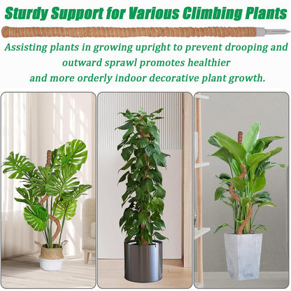 3-Pack Tall Moss Poles (50 Inch) - Coco Coir Plant Support Sticks for Potted Plants (Monstera, Pothos, Philodendron)