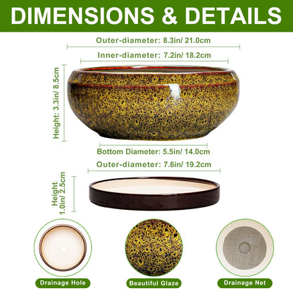 EPFamily Succulent Planters 8 Inch - Ceramic Bonsai Pots with Drainage Hole and Tray, Shallow Plant Pot Indoor Outdoor, Round Succulent Pots, Planter Bowl, Porch Decor, Housewarming Gifts, Yellow