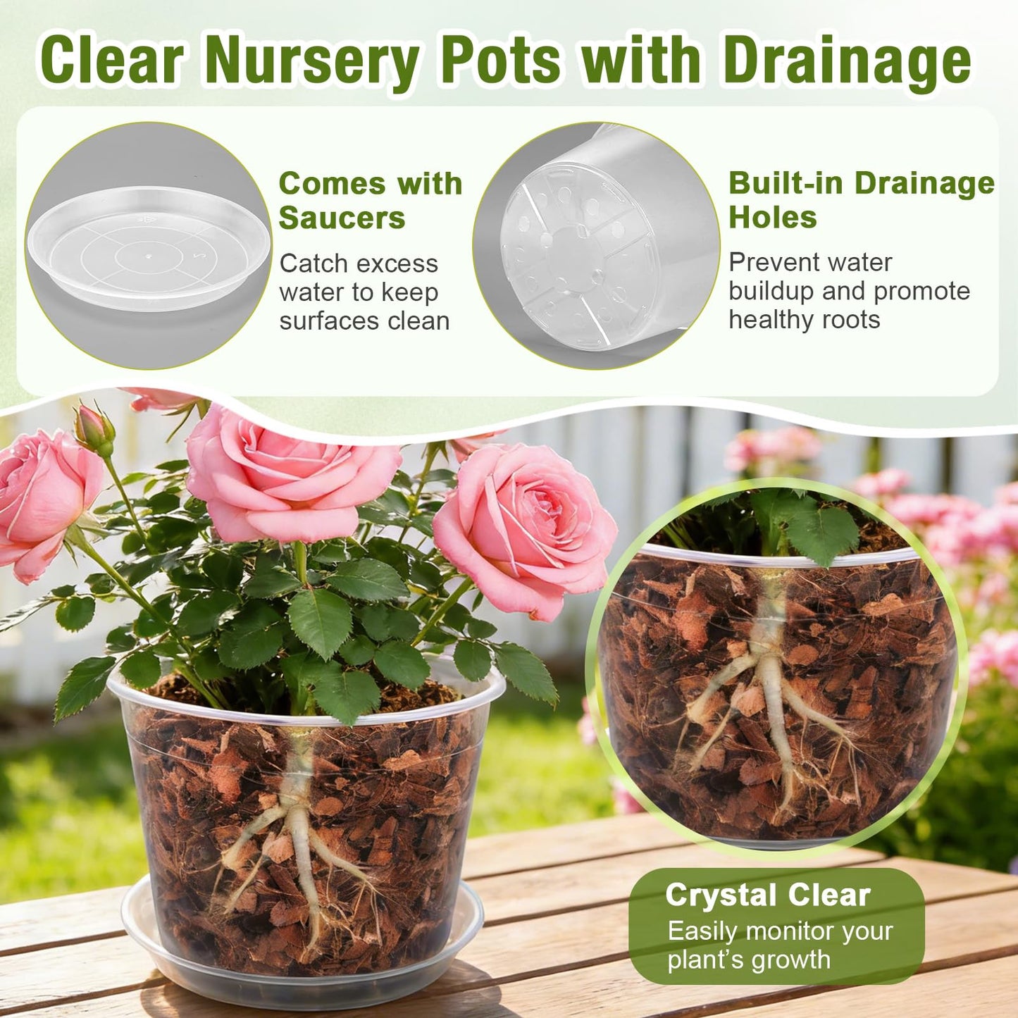 FUOAUYK 12 Inch Clear Nursery Pots with Drainage and Saucers, 5 Pack Large Clear Plastic Nursery Pots for Plants, Seedling Plant Pots for Repotting and Growing Plants, Flowers & Vegetables (12 inch)