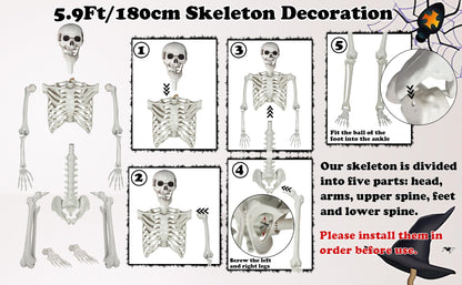 LaLamona 5.9ft/180cm Posable Halloween Skeleton, Life Size Skeleton Bones with Movable Joints for Halloween Graveyard Haunted House Spooky Scene Decor, 1pc