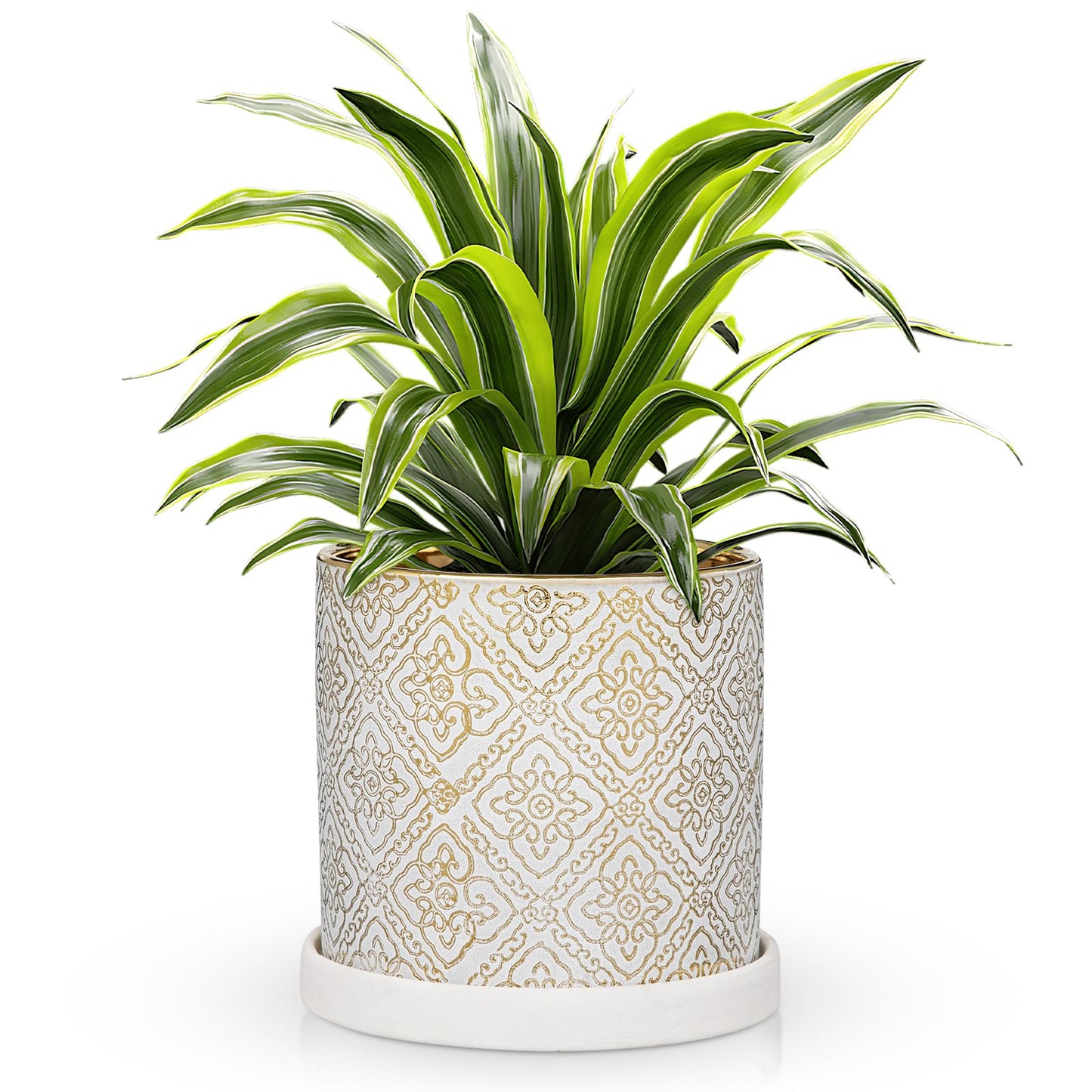 Ceramic Plant Pots with Drainage Hole & Saucer, White & Gold Ceramic Planter Pot for Indoor & Outdoor Use, 5.5" Small Plant Pots Decorative Flowerpots for Succulents, Herbs, Cactus, Orchids Planter
