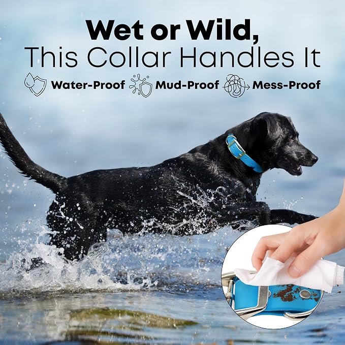 Regal Dog Products Large Light Blue Dog Collar with Heavy Duty Double Buckle & D Ring | Vinyl Coated, Custom Fit, Adjustable Biothane Dog Collar Chew Resistant Waterproof Collar for Dogs