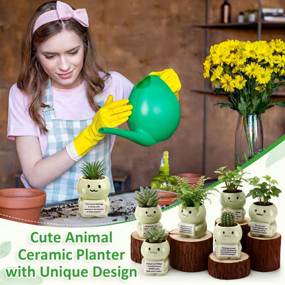Ferrochef 6 Pack 2.95 Inch Cute Dinosaur Ceramic Succulent Planter Pots with Drainage Hole, Mini Inspirational Flower Planter Tiny Cactus Pot for Indoor Outdoor Plant, Encouragement Gift for Women Men