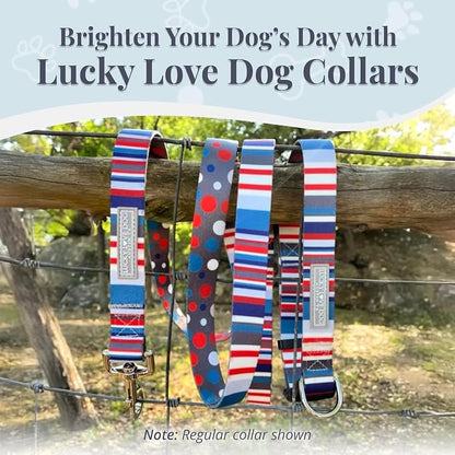 Lucky Love Dog Martingale Dog Collar & Leash - Adjustable, No-Slip, Durable, Comfortable, Soft Webbing, & Stylish Patterned Collar & Leash Set for Male and Female Dogs - Linus Combo, Large